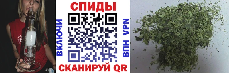 Купить закладки  Гороховец  Бутират буратино 