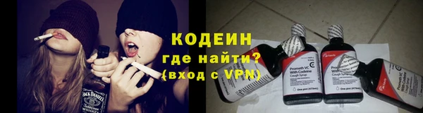ГАЛЛЮЦИНОГЕННЫЕ ГРИБЫ Зеленодольск