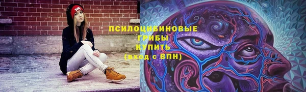 ГАЛЛЮЦИНОГЕННЫЕ ГРИБЫ Зеленодольск