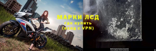 ГАЛЛЮЦИНОГЕННЫЕ ГРИБЫ Зеленодольск