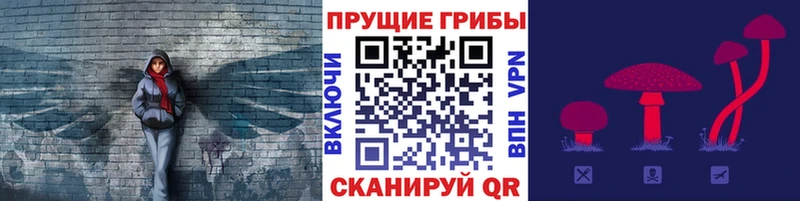 Купить где  Гороховец  Галлюциногенные грибы Magic Shrooms 