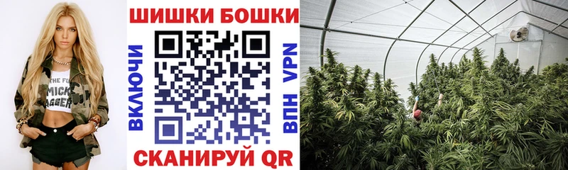 Купить Гороховец Бошки марихуана марихуана
